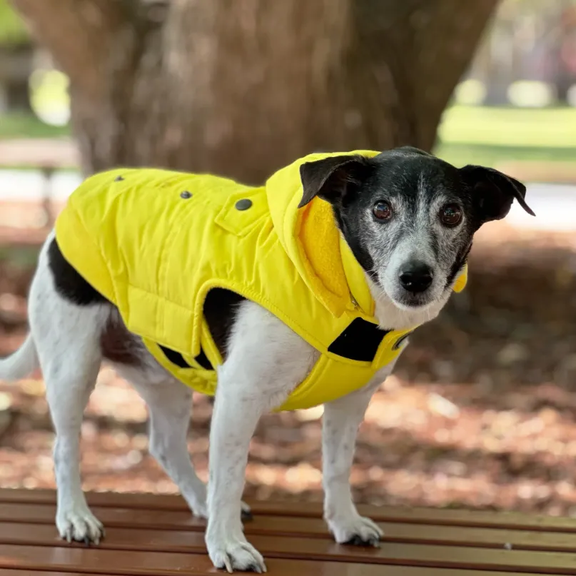 Huskimo Dog Coat Mt Buller
